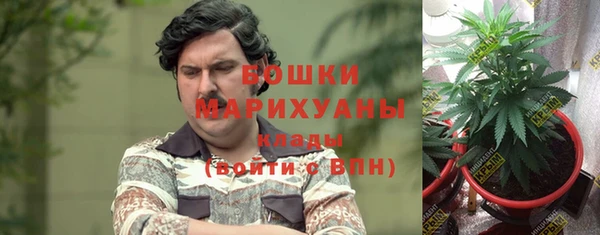 сатива Армянск