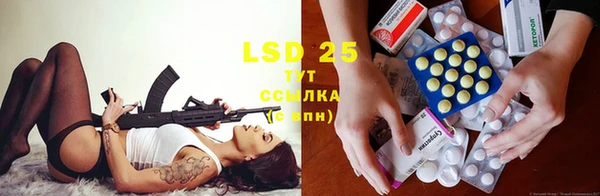 ECSTASY Аркадак