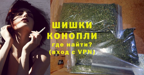 сатива Армянск