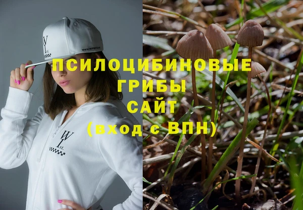 сатива Армянск