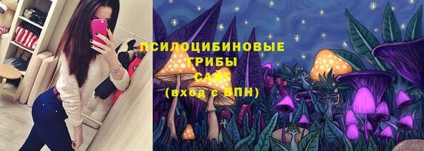 Альфа ПВП Арсеньев