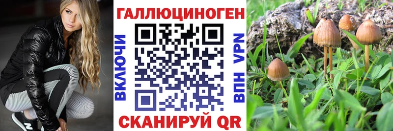 Псилоцибиновые грибы GOLDEN TEACHER  Похвистнево 